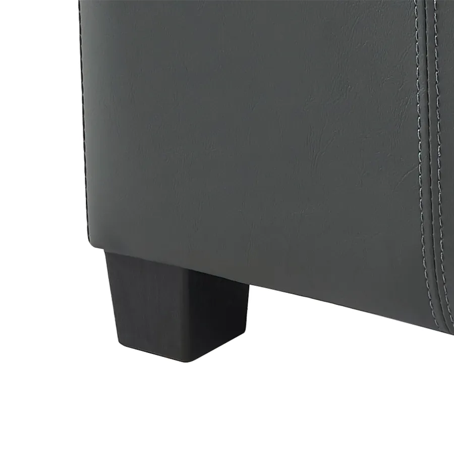 Chrisley Faux Leather Storage Ottoman