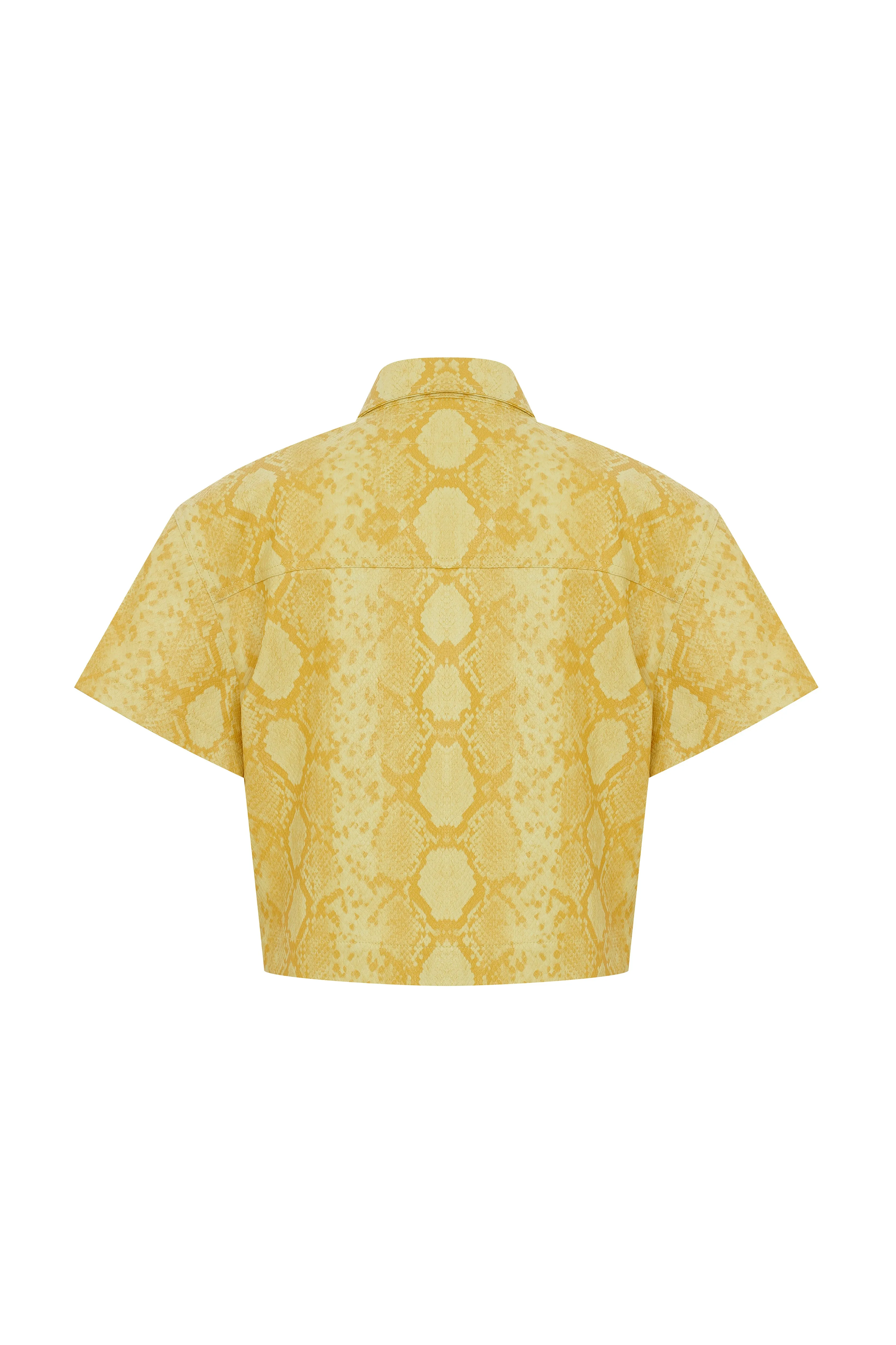 Cut Shirt