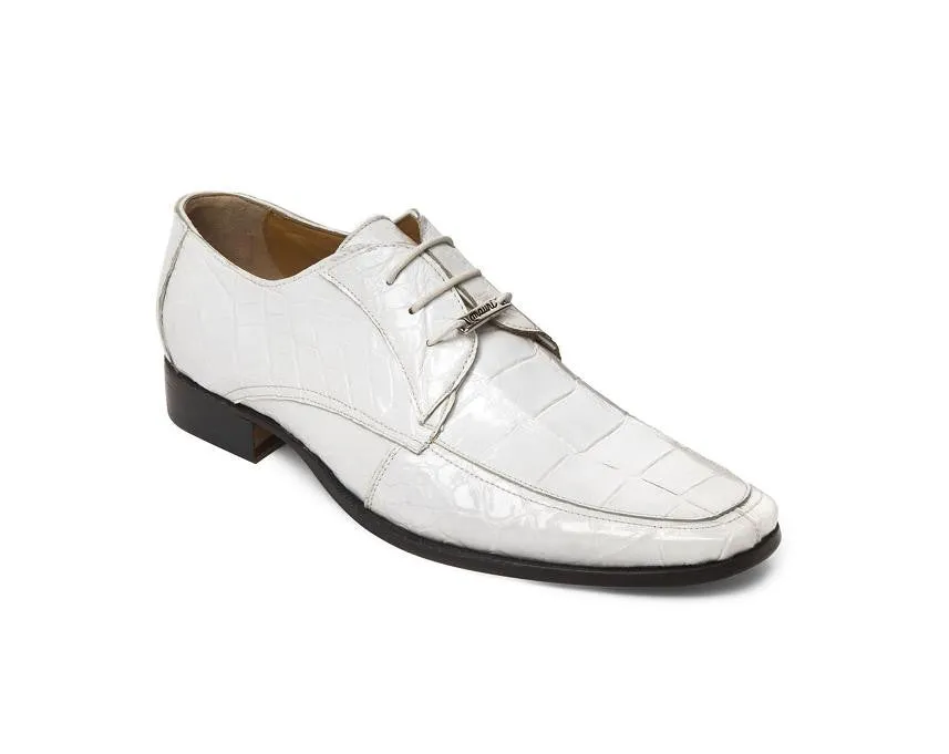Mauri - "M785 Cipro" All Over Alligator Lace Ups